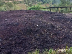 Rwandan company converts coffee waste into cooking energy and organic fertilizers