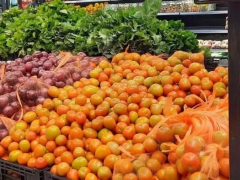 Food prices in Kenya have slightly declined, with the 