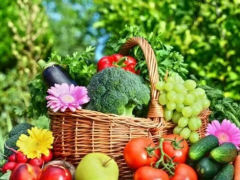 Tanzania increases investment in horticulture industry