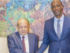 Egyptian investors consider plans to open leather fact