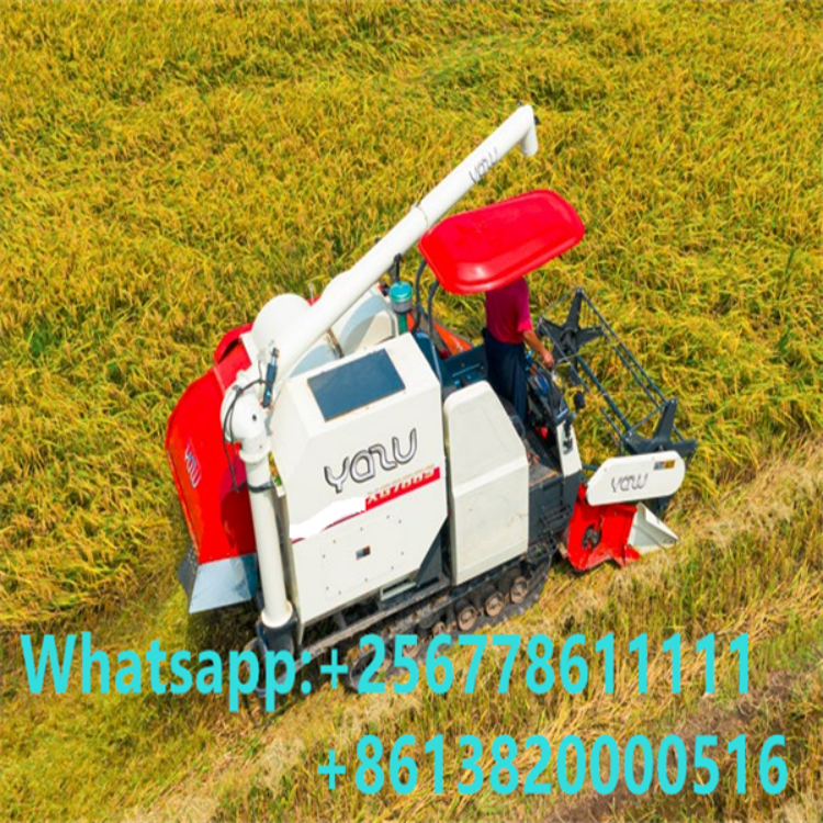 4LZ-4.0S Full Feed Combine Harvester / 3