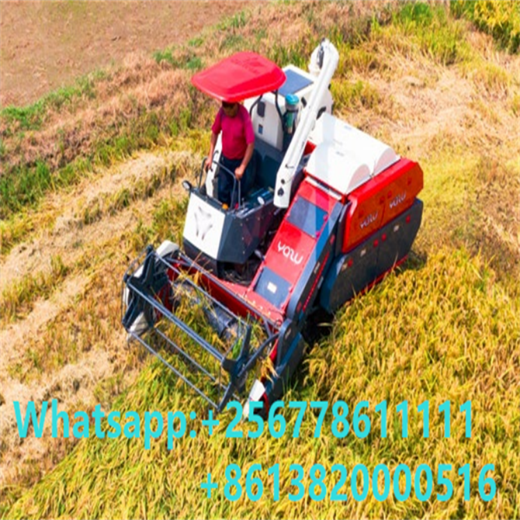 4LZ-4.0S Full Feed Combine Harvester / 2