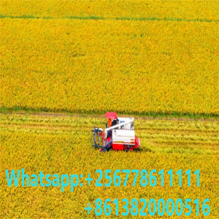 4LZ-6.0Z Full Feed Combine Harvester / 3