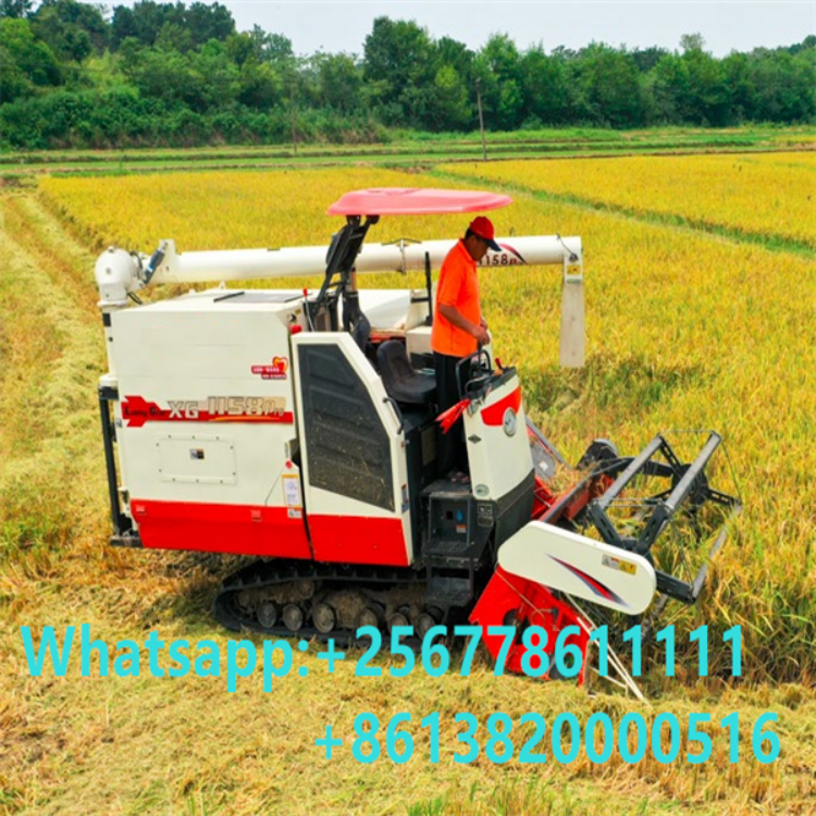 4LZ-6.0Z Full Feed Combine Harvester / 2