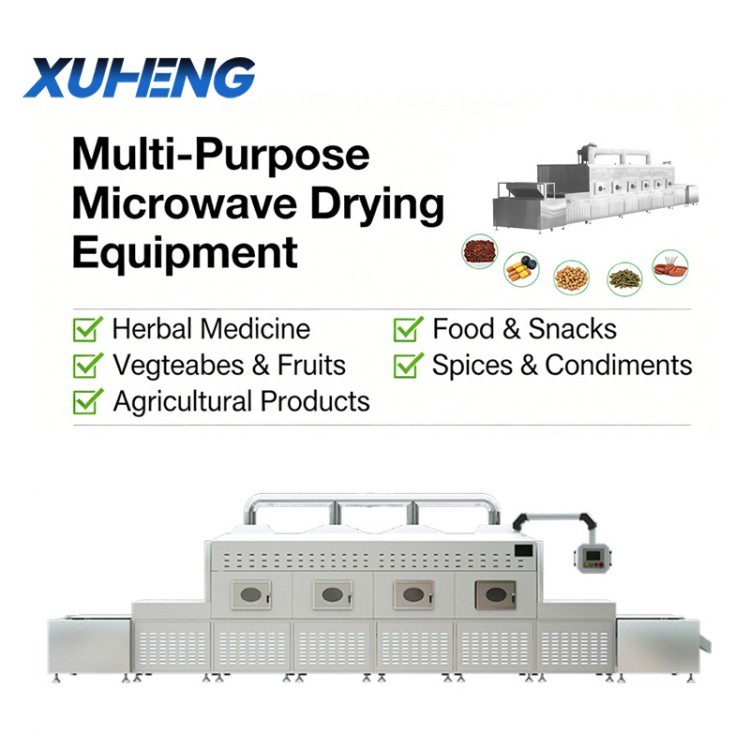 Microwave vacuum equipment / 2